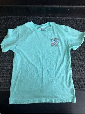 Salty Crew Kids Mint Graphic Tee - Sink & Swim Logo